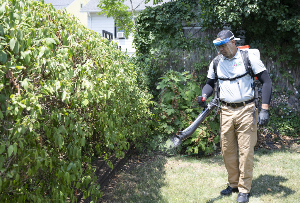 Mosquito Yard Treatment in North Carolina and South Carolina