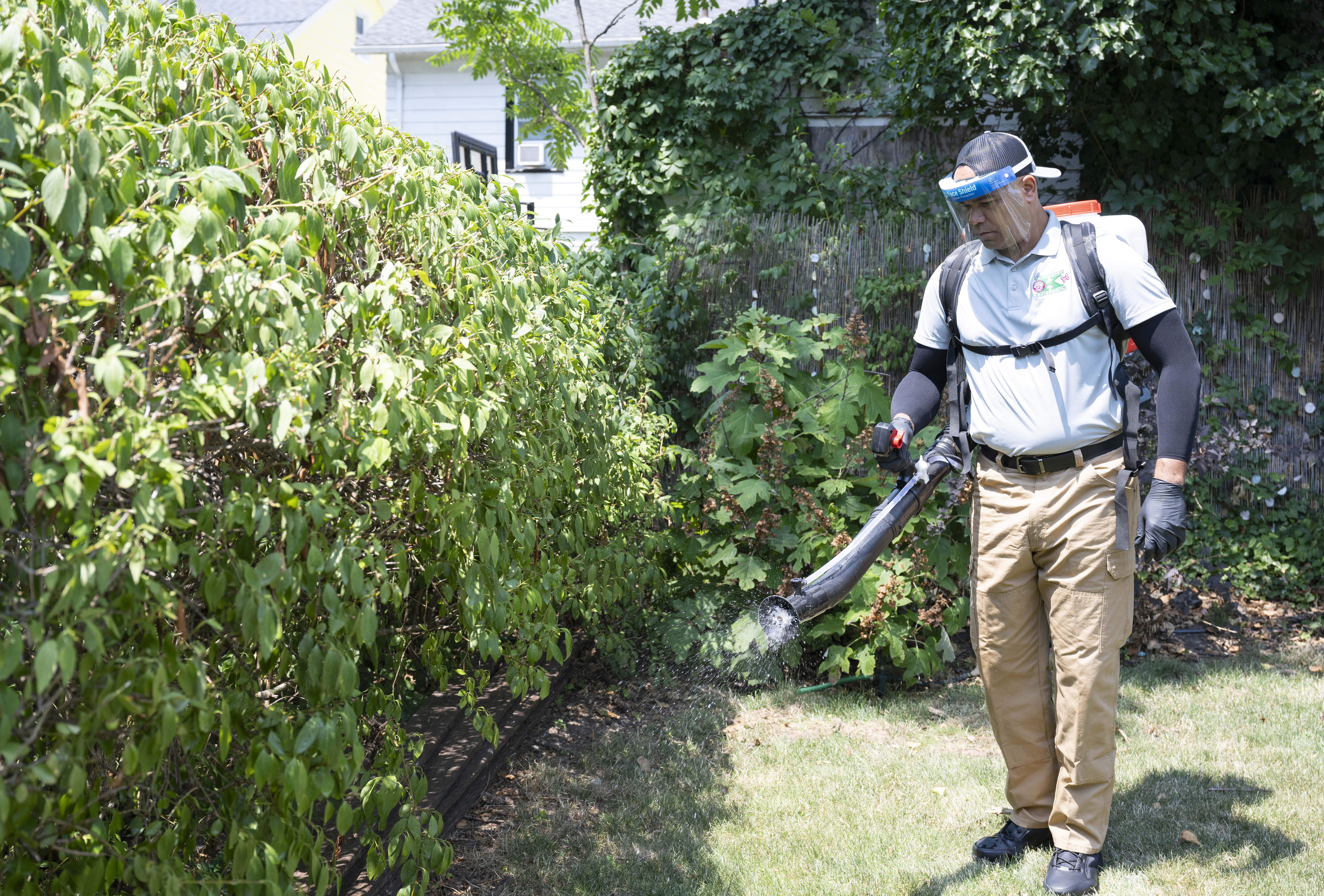 Mosquito Yard Treatment in North Carolina and South Carolina