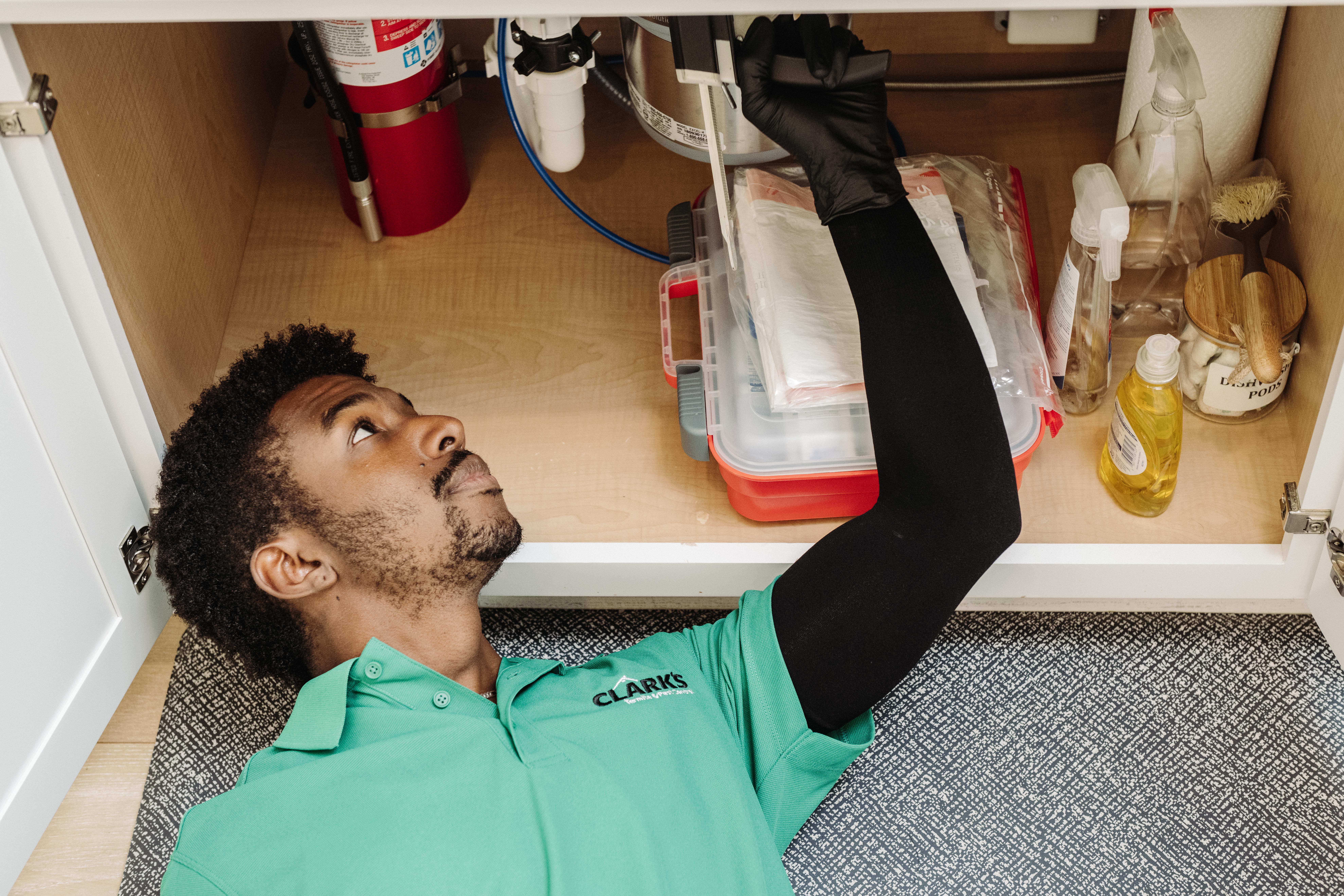Pest Control in Rock Hill, SC