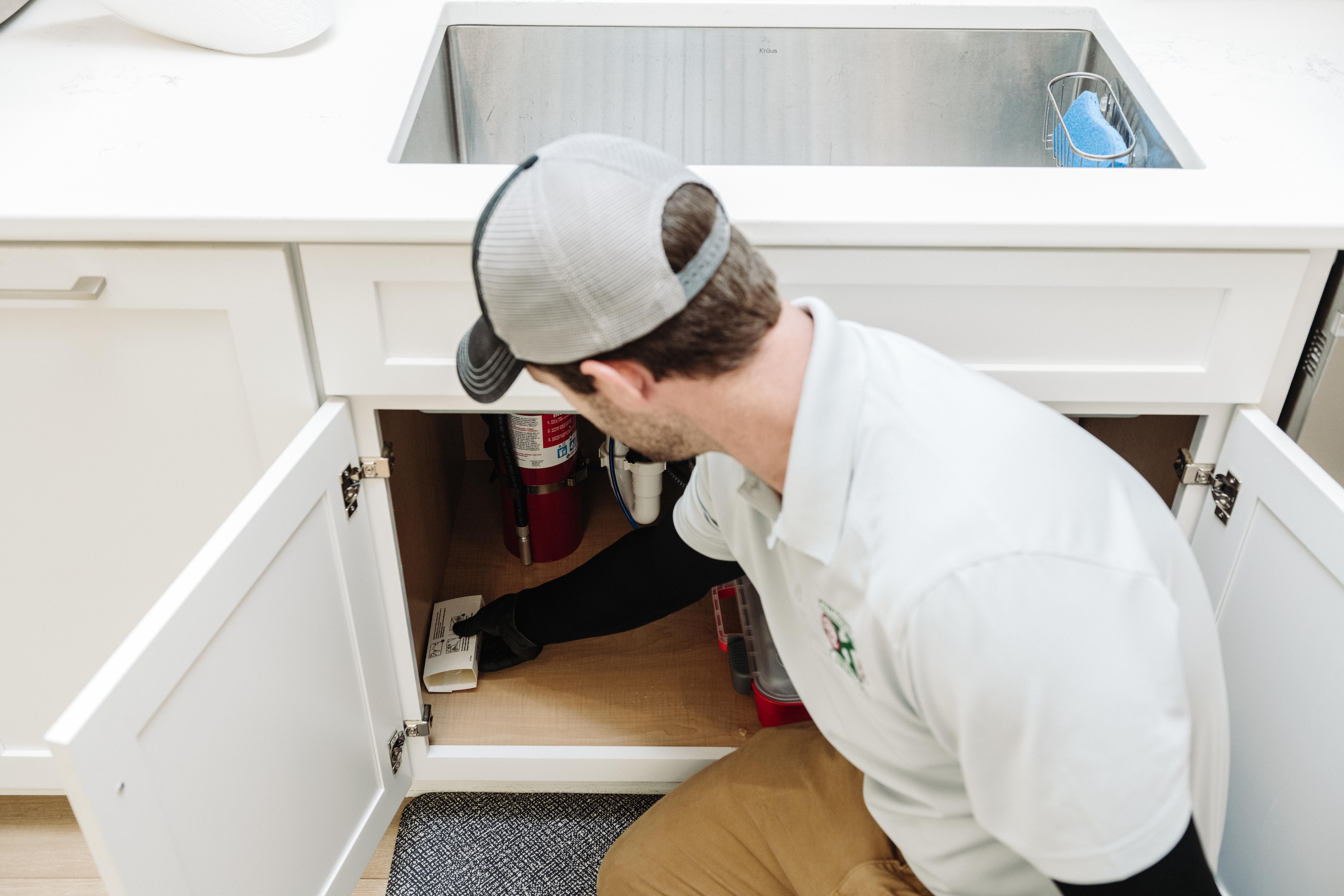 Kitchen Pest control in Rock Hill, SC