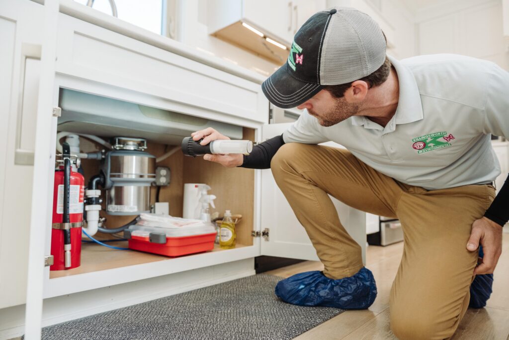 Kitchen Pest Control - Killingsworth Environmental Ant Control