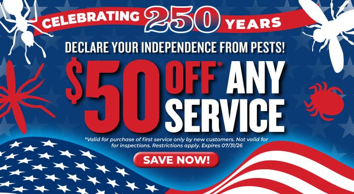 Save on Pest Control this Fourth of July