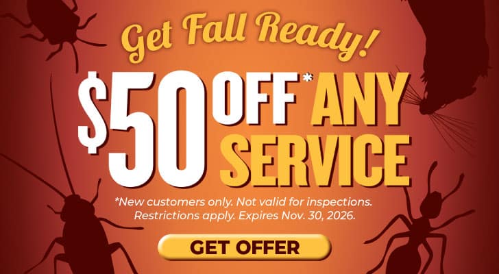 Save $50 on Fall Pest Control