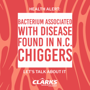 CPC Chigger Alert