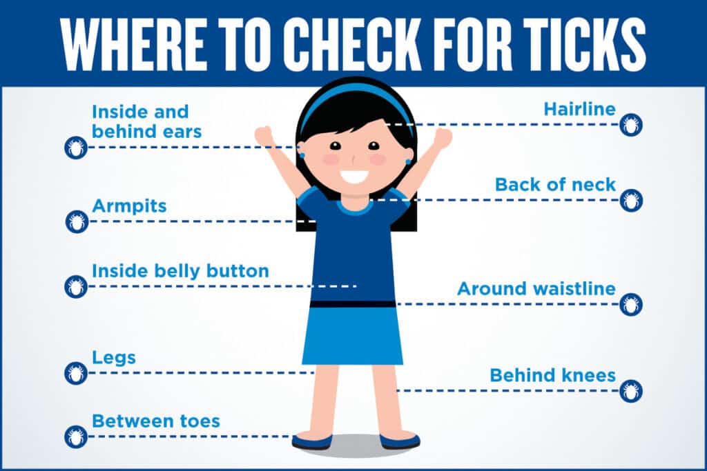 Where to Check for Ticks - Anticimex Carolinas