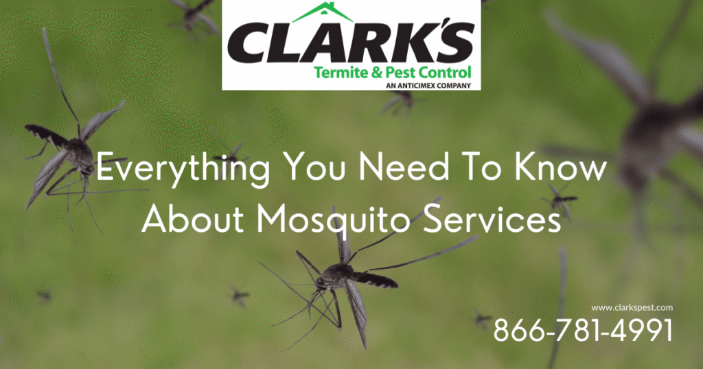 mosquito service