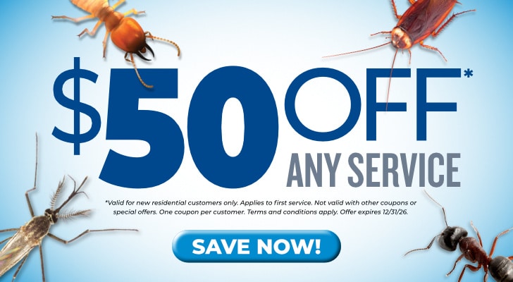 50 % Off Any Service - Anticimex Carolinas Pest Control