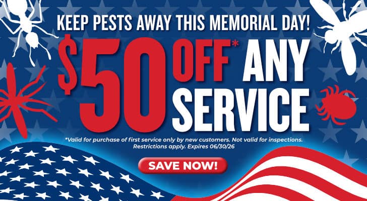 Save on Pest Control Memorial Day Special