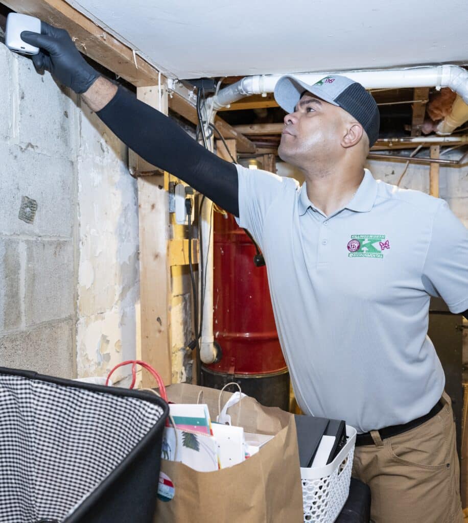 Pest Control in Matthews, NC