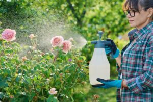 Garden Pest Control