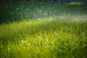 green-grass-and-sprinkler-system-killingsworth-environmental-charlotte-nc-e1536872921404