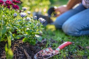 killingsworth-environmental-investment-in-lawn-care-add-to-home-value