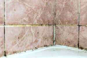 killingsworth-unknown-places-mold-hiding-in-your-home