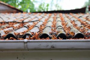 leaves-on-roof