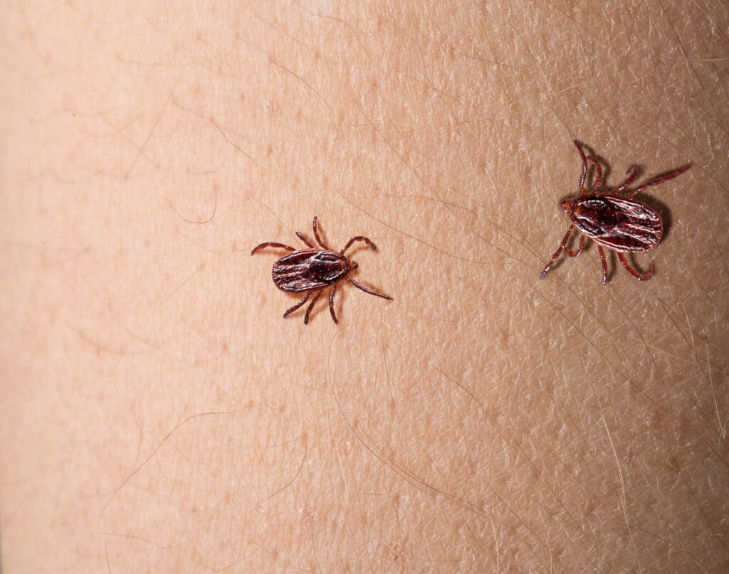 Tick control in Waxhaw, NC