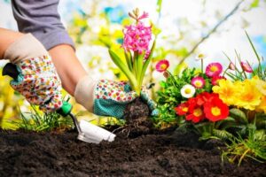 planning flowers in yard killingsworth environmental charlotte