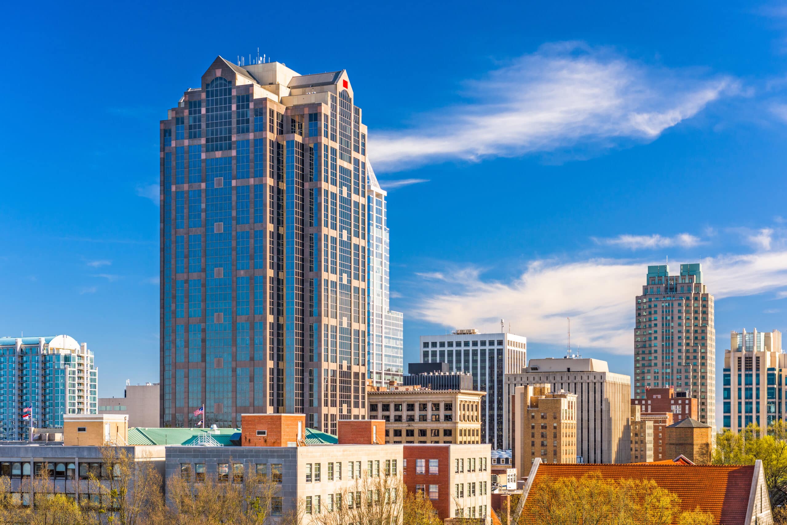 Pest Control in Raleigh, NC