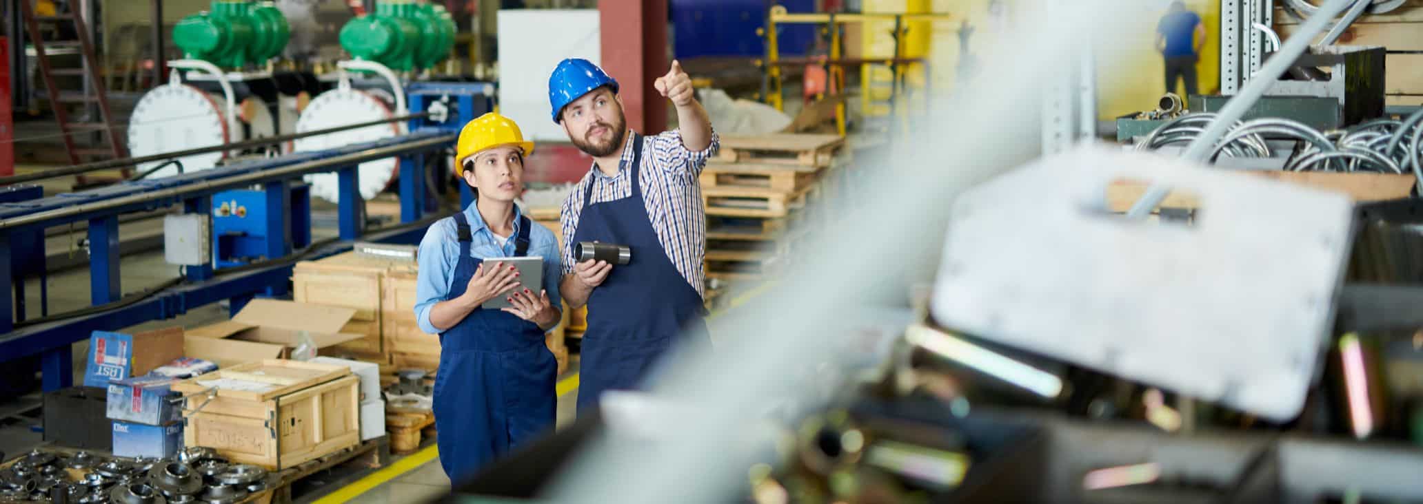 Warehouse Pest Control